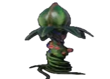 Dionaea Trap