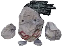 Elder Pet Rocky