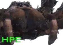 Giant Spider