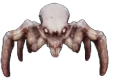 Hell Acarid