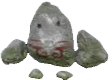 Lesser Pet Rocky