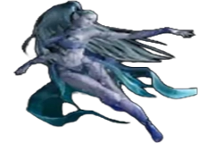 Shiva